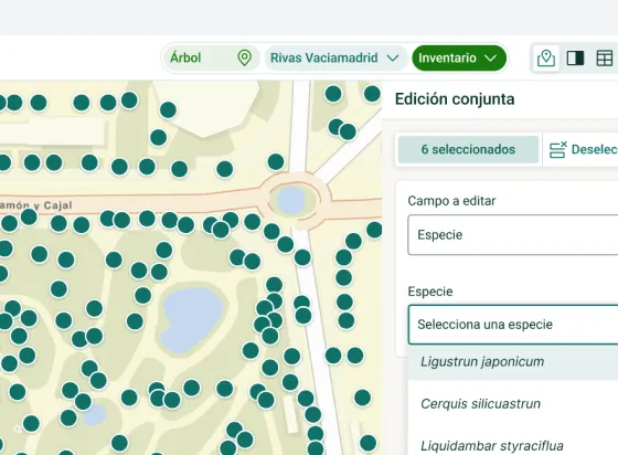 Edición múltiple: varios elementos seleccionados en el mapa y un formulario común
