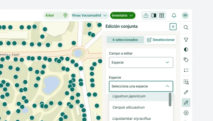 Edición múltiple: varios elementos seleccionados en el mapa y un formulario común