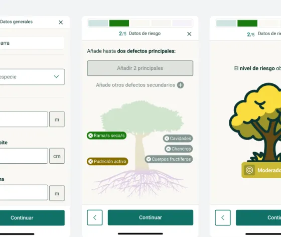 Formulario de evaluación de riesgo por fases en la web app móvil